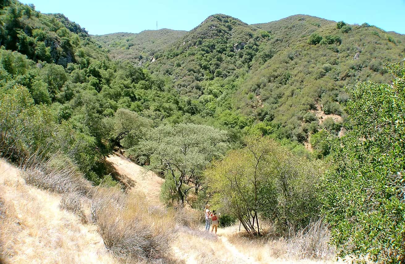 Cielo Creek Canyon