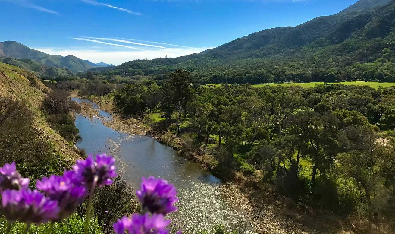 Santa Ynez River in Winter